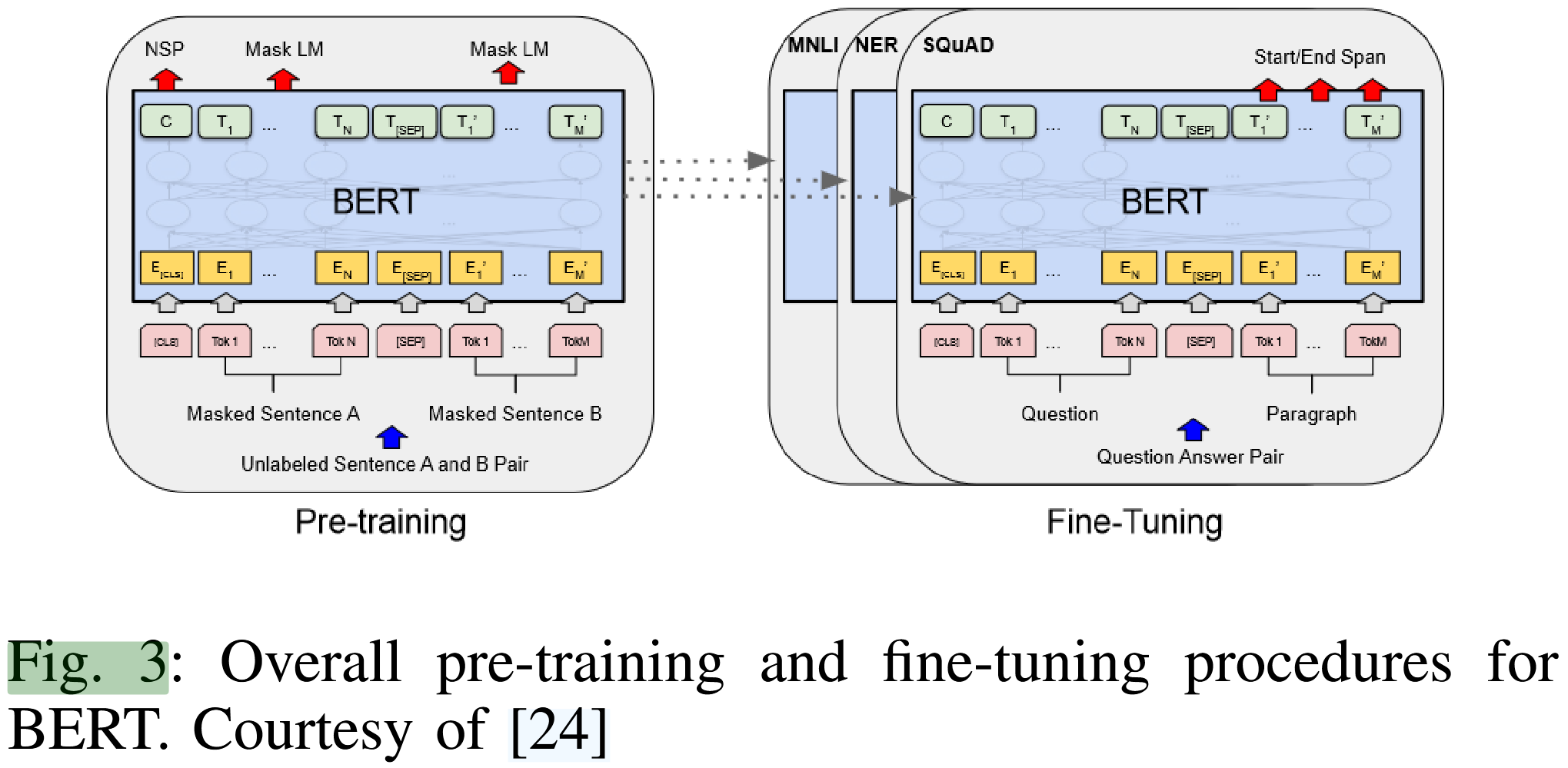 BERT的预训练和微调流程